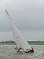 Lemsterbokking08 (56)